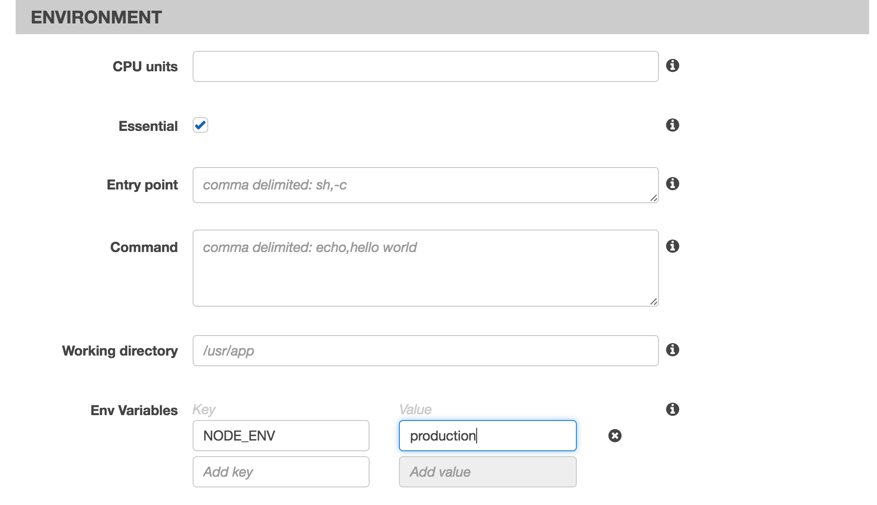 Environment variable configuration