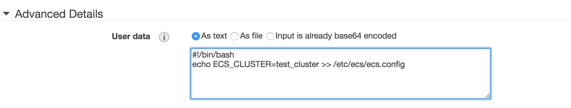 Configure ECS agent